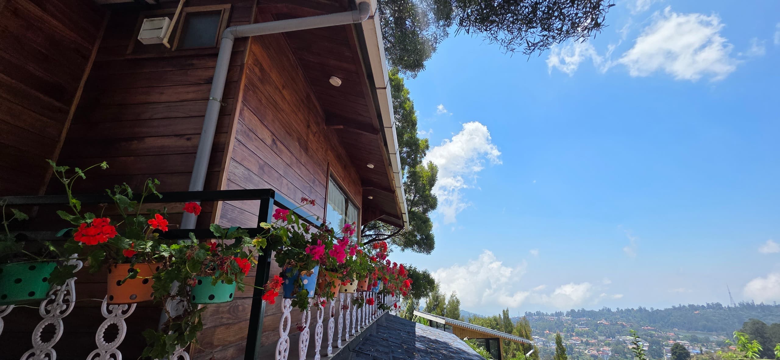 The Treehouse - Image 1