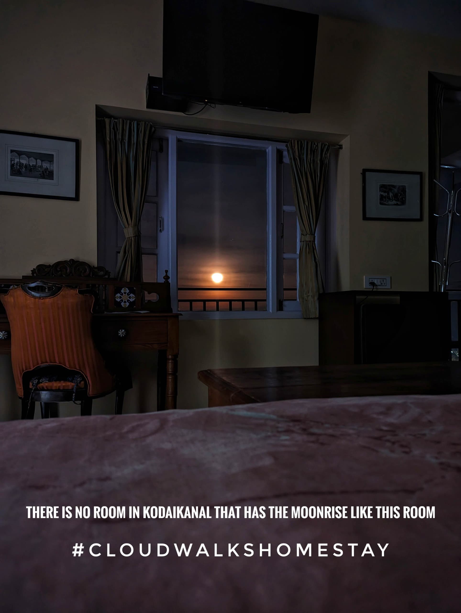 Warm Timber & Ambient Lighting