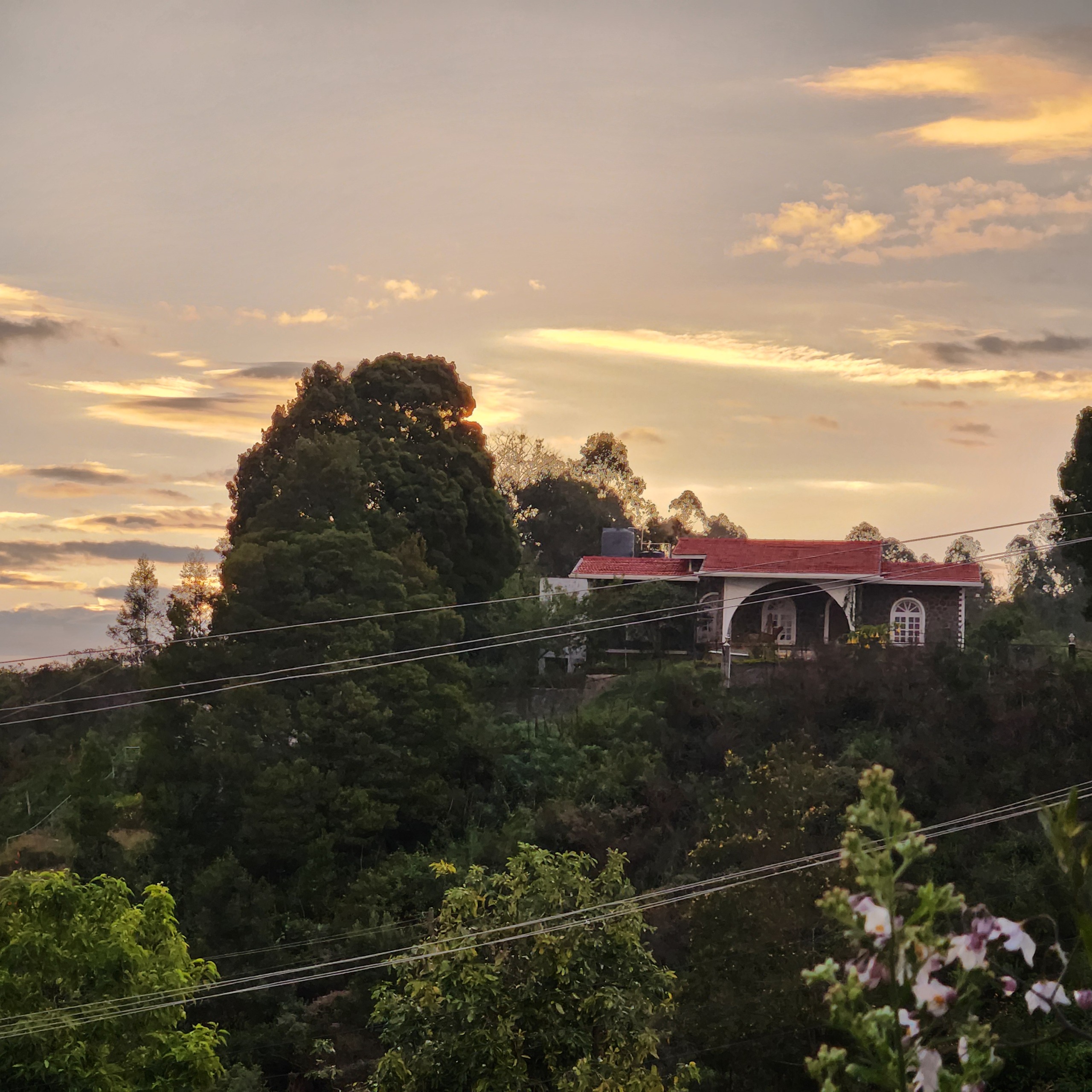 Master bedroom suite with misty forest views - Cloudwalks®