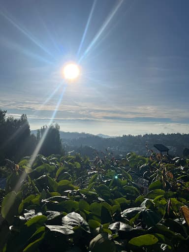 Cloudwalks® Kodaikanal Morning Sunshine & Nature View