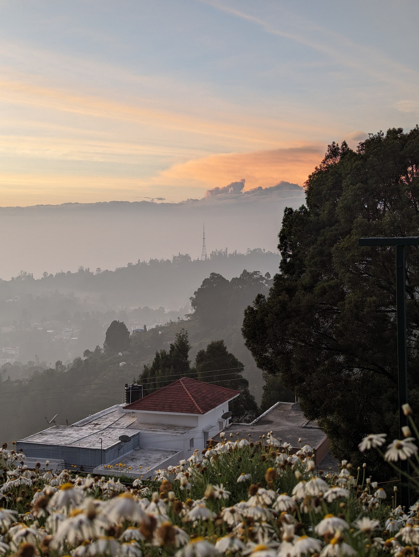 Cloudwalks® Evening Misty Hilltop Ambiance