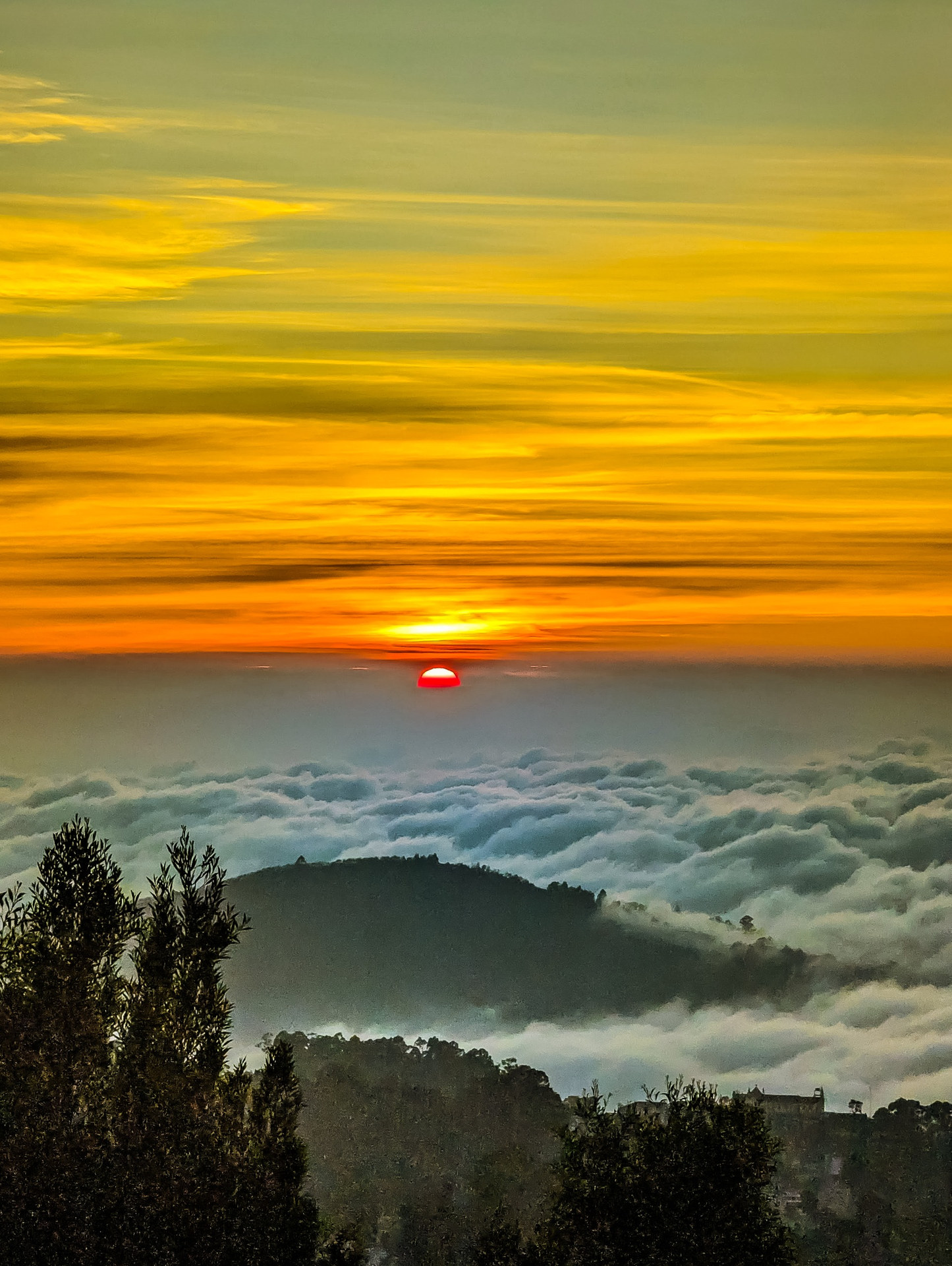 Cloudwalks® Scenic Valley View Observation Deck