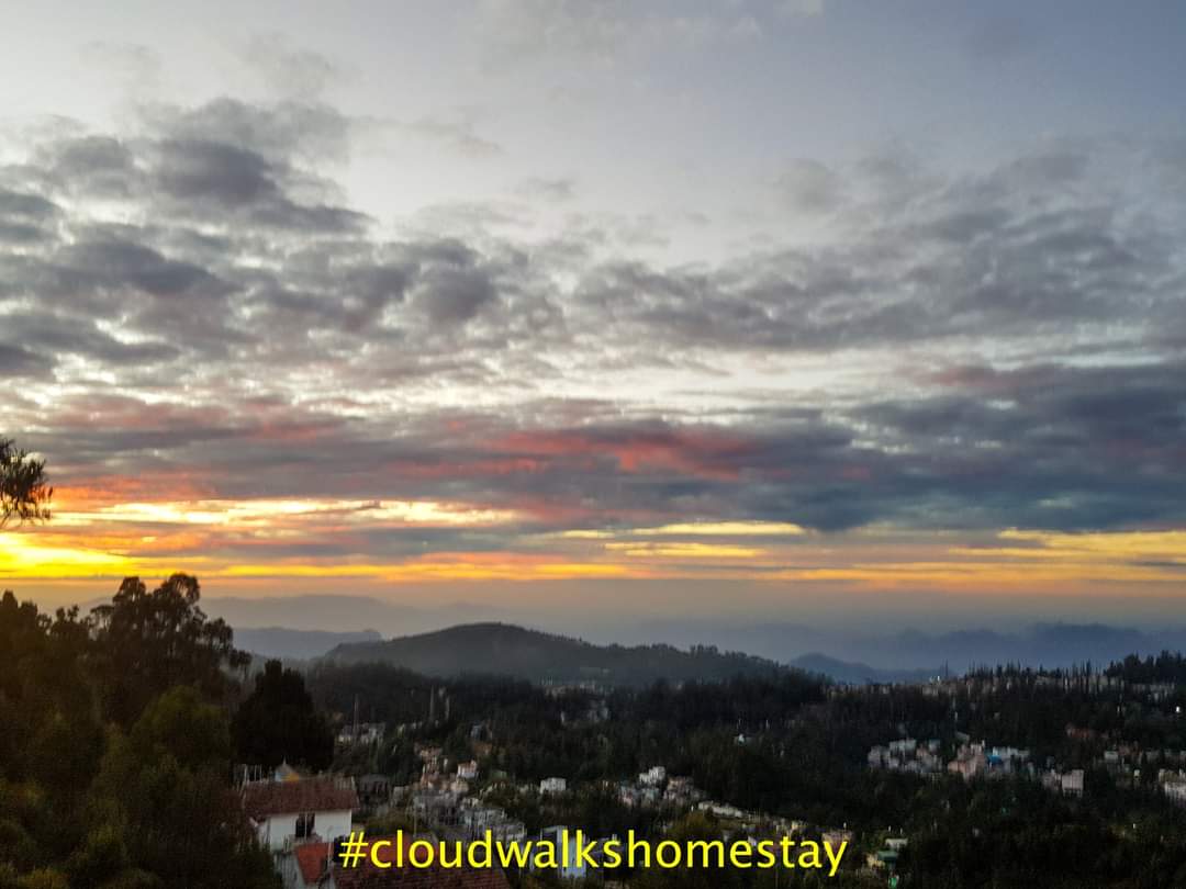 Cloudwalks Scenic Pathway